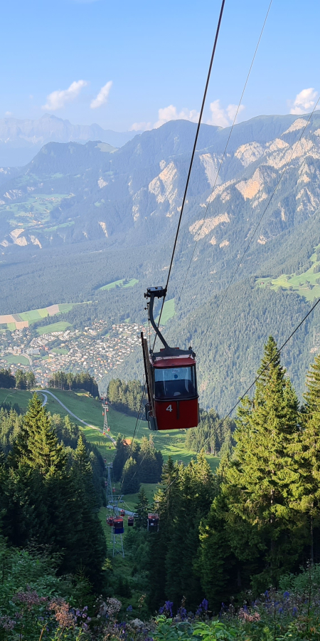 bergbahnen_brambruesch_kaenzeli_gondel-sommer_CT (14).jpg